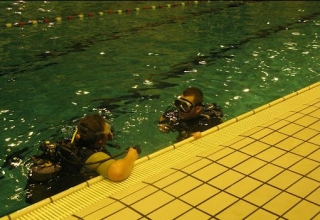  Bautismos e iniciaciones en la alberca 